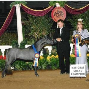 Meet your Posher, Ed